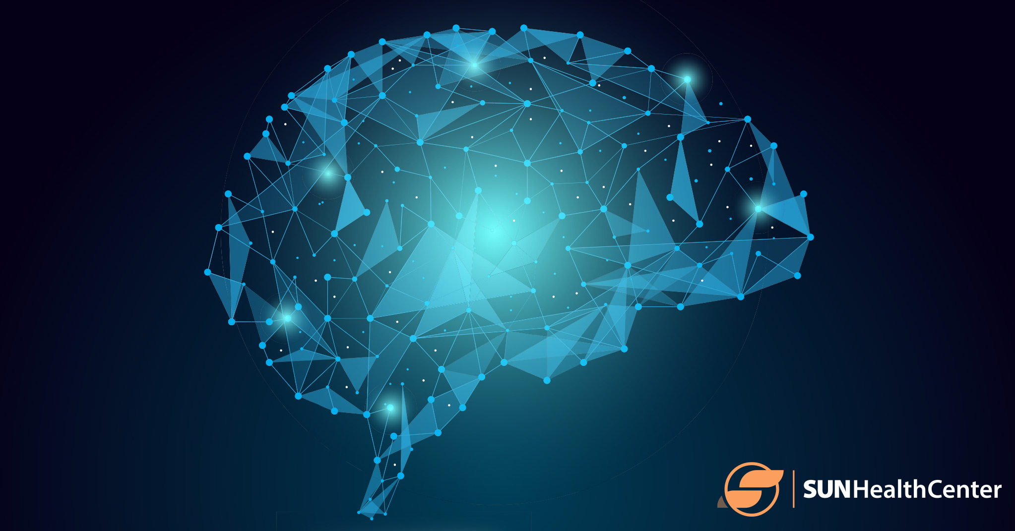 Brain Mapping Therapy The Dummy s - SHC Brain Mapping Therapy The Dummie S Guide 