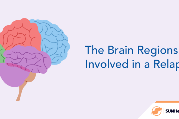 What brain regions are involved in relapse