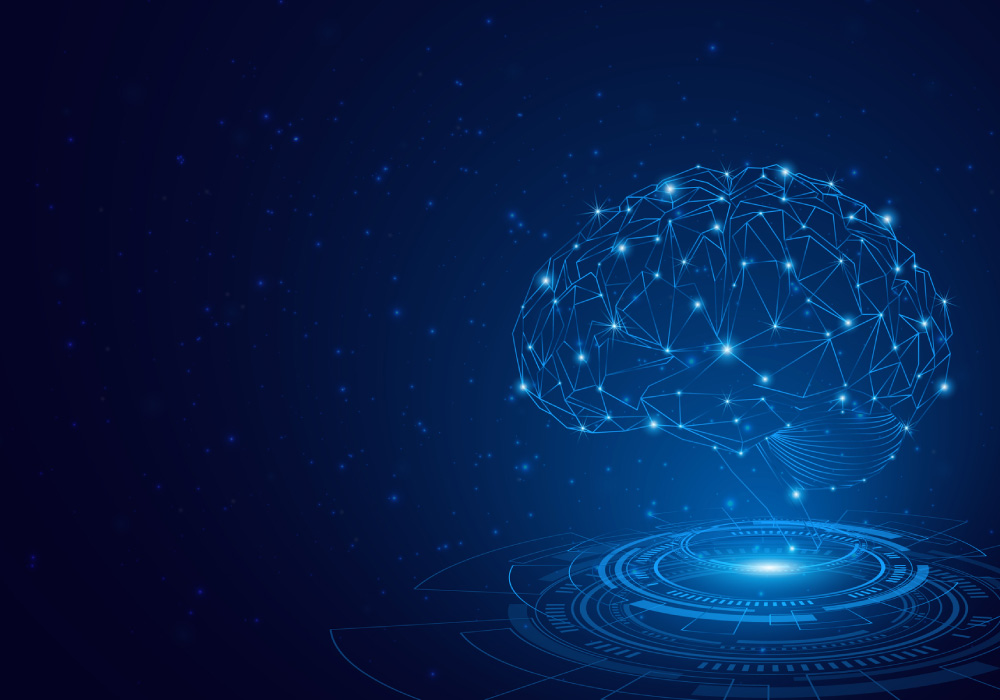 Neural pathways